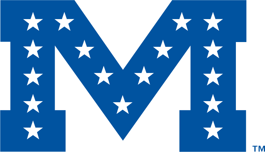 Mississippi Rebels 1983-2002 Secondary Logo v2 DIY iron on transfer (heat transfer)